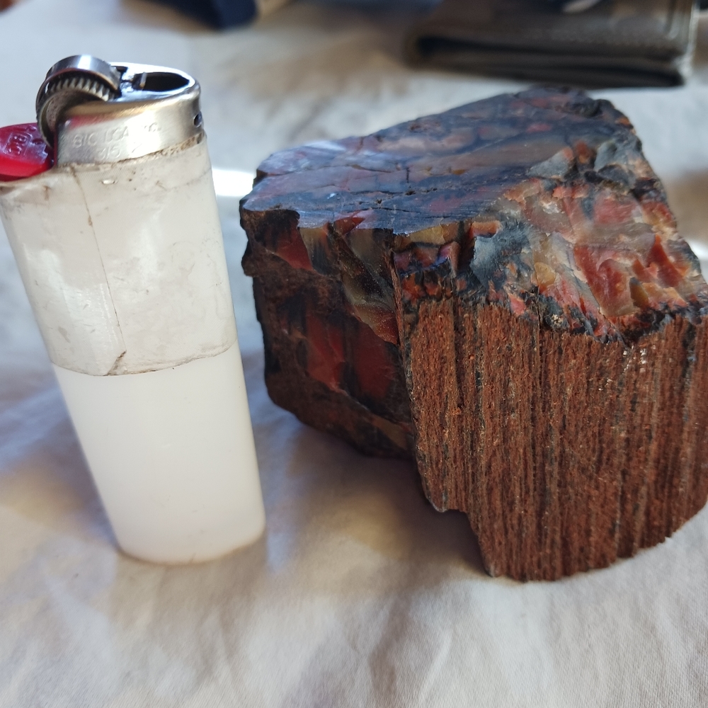 Arizona rainbow petrified wood
